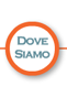 Dove siamo